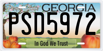 GA license plate PSD5972