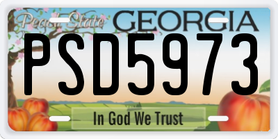 GA license plate PSD5973