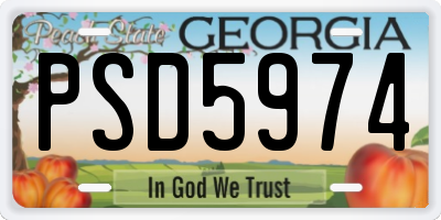 GA license plate PSD5974