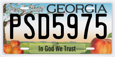 GA license plate PSD5975