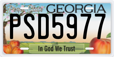 GA license plate PSD5977