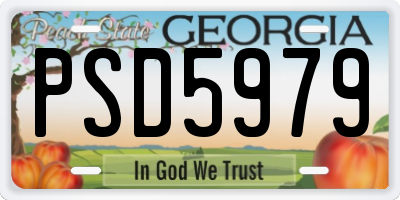 GA license plate PSD5979