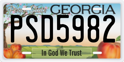 GA license plate PSD5982