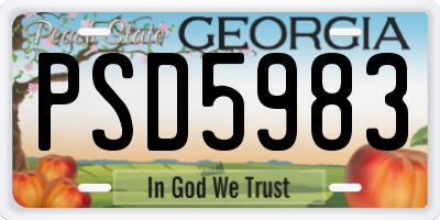 GA license plate PSD5983