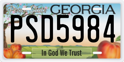 GA license plate PSD5984