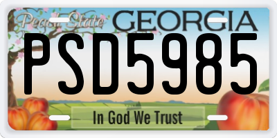 GA license plate PSD5985