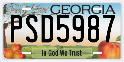 GA license plate PSD5987