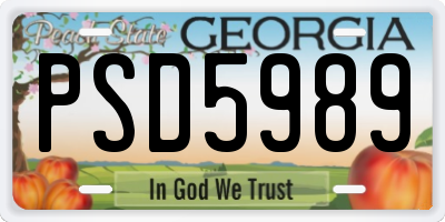 GA license plate PSD5989