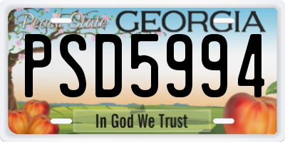 GA license plate PSD5994