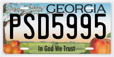 GA license plate PSD5995