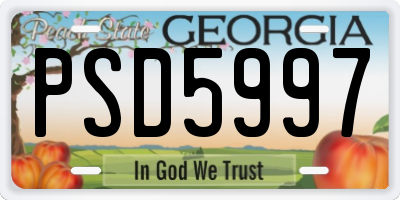 GA license plate PSD5997