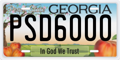 GA license plate PSD6000