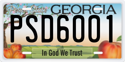 GA license plate PSD6001