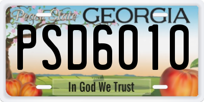 GA license plate PSD6010