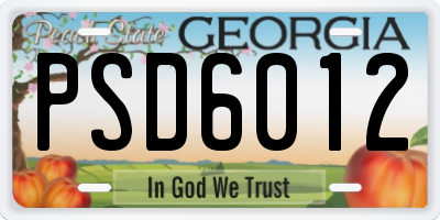 GA license plate PSD6012
