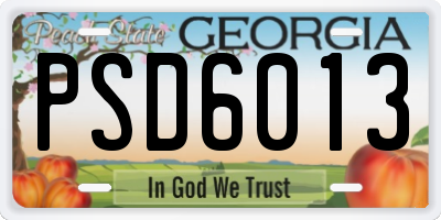 GA license plate PSD6013