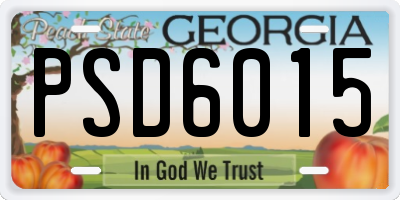 GA license plate PSD6015