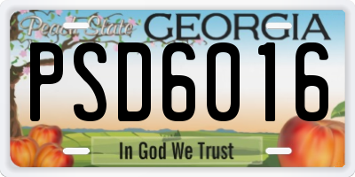 GA license plate PSD6016