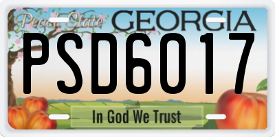 GA license plate PSD6017