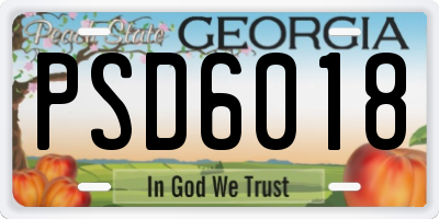 GA license plate PSD6018