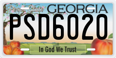 GA license plate PSD6020