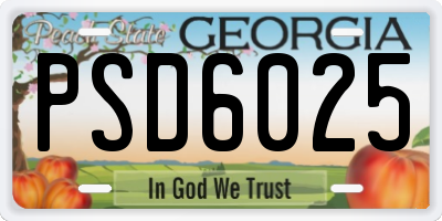 GA license plate PSD6025