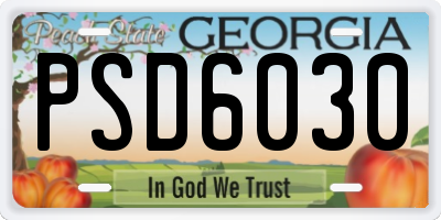 GA license plate PSD6030