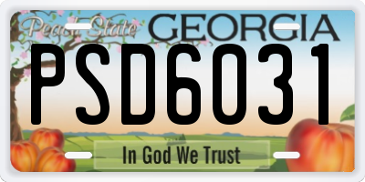GA license plate PSD6031