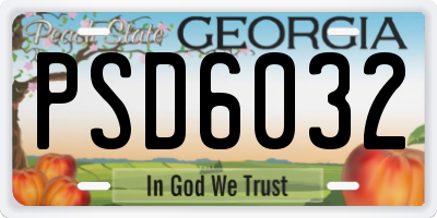 GA license plate PSD6032