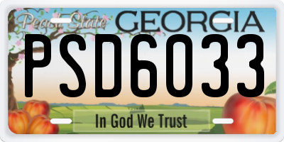 GA license plate PSD6033