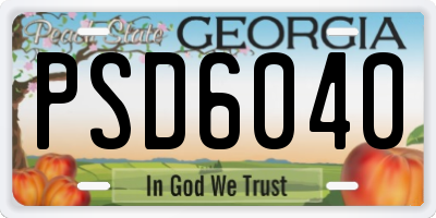 GA license plate PSD6040