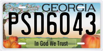 GA license plate PSD6043