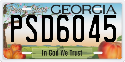 GA license plate PSD6045