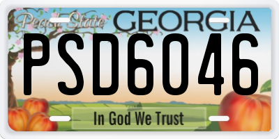 GA license plate PSD6046