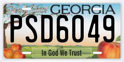 GA license plate PSD6049