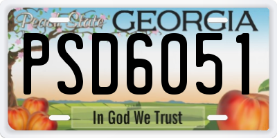 GA license plate PSD6051