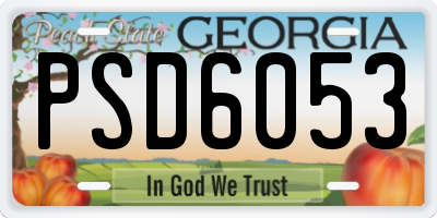 GA license plate PSD6053