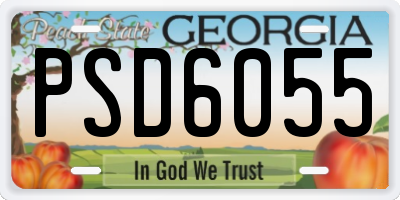 GA license plate PSD6055