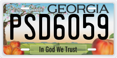 GA license plate PSD6059