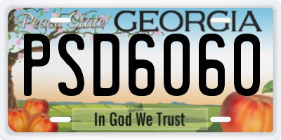 GA license plate PSD6060
