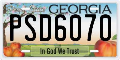 GA license plate PSD6070