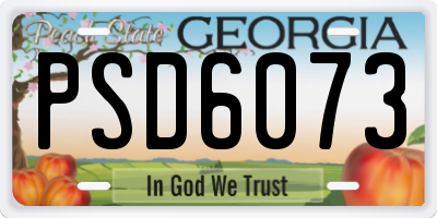 GA license plate PSD6073