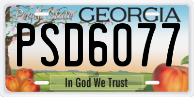 GA license plate PSD6077