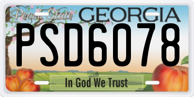 GA license plate PSD6078