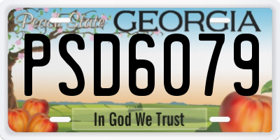 GA license plate PSD6079
