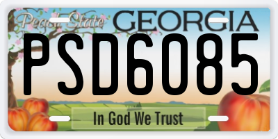 GA license plate PSD6085