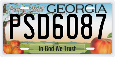 GA license plate PSD6087