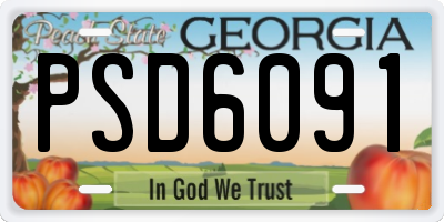 GA license plate PSD6091