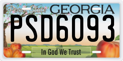 GA license plate PSD6093