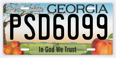 GA license plate PSD6099